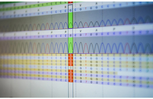 MVZ für Humangenetik Next-Gen Sequencing
